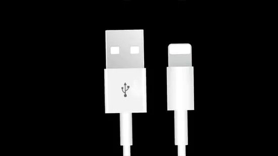 Câble de données en fil d'acier Super Durable pour téléphone, USB2.0 2,4 a, Charge rapide, câble de certificat Mfi